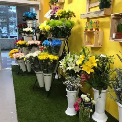 Loja Rosa Viva - Flores & Presentes