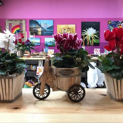 Loja Rosa Viva - Flores & Presentes